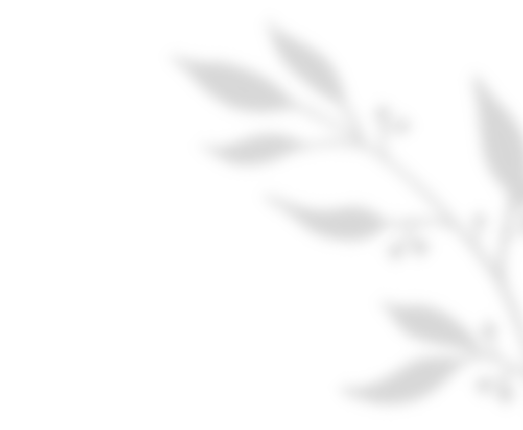 shadow_leaves_01 https://rawstudiophotography.it/wp-content/uploads/2020/11/shadow_leaves_01-1.png